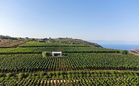 Tenuta Di Castellaro Winery & Lipari (isola Lipari)